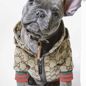 Gucci poochie jacket